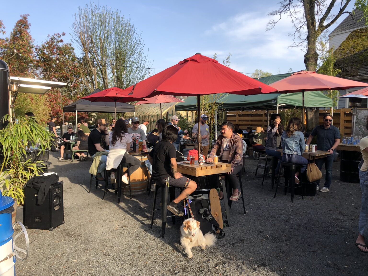 ArborLook Carts Delicious food and beer garden, in the heart of Arbor